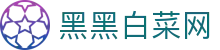 黑黑白菜网 - 白菜项目黑黑社区 - 《app下载中心》